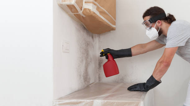 Professional Mold Remediation technician working in Castalia, NC